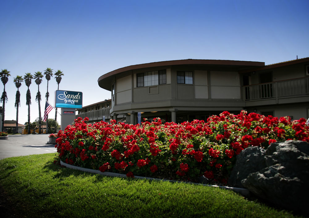Sands By The Sea Motel San Simeon Exterior photo