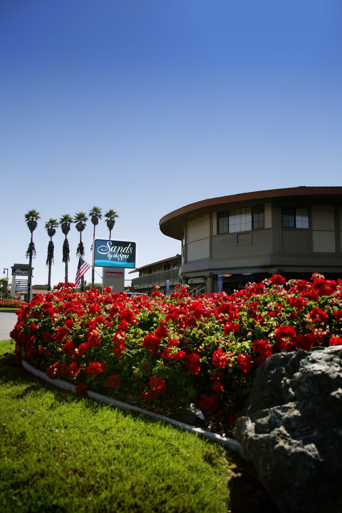 Sands By The Sea Motel San Simeon Exterior photo